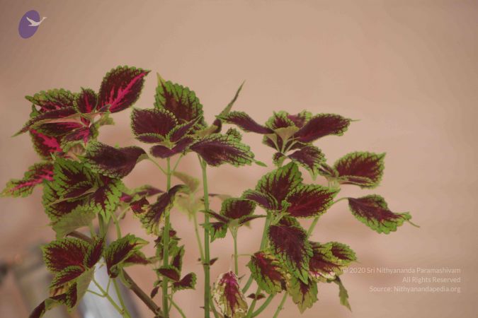 20111103 Photo 1129 1EZTDL fH6FmOL7HVm3Ps51hwrq-Gb1Qj.JPG