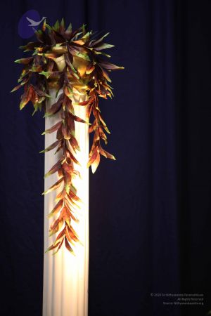 20111103 Photo 1225 1ARyUURoYds6KRbEm8o6j-kU2g8mw8F9M.JPG