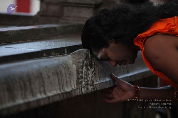 20111106 Photo 1006 1Z-1tX6pxgonywNi7OhgwyqtsJjlqjWoT.JPG