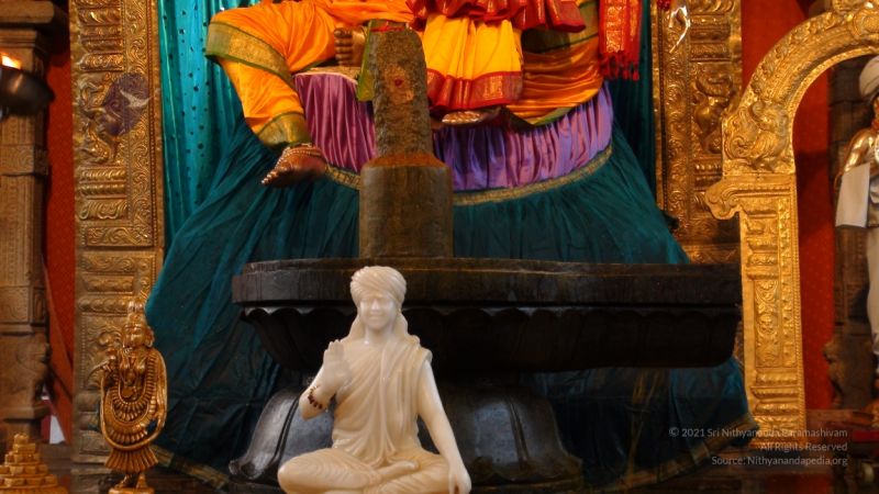 20111110 DSC09113-13001.jpg