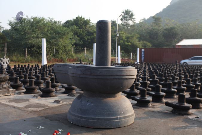 20111110 IMG 1861-16001.jpg