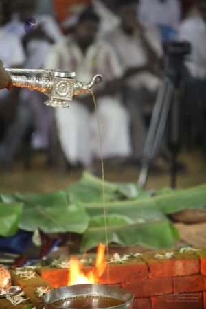 20111110 IMG 3101-209001.jpg