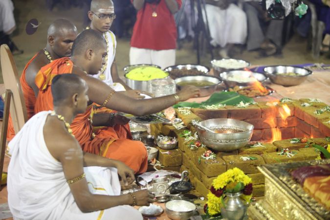 20111110 IMG 3134-213001.jpg