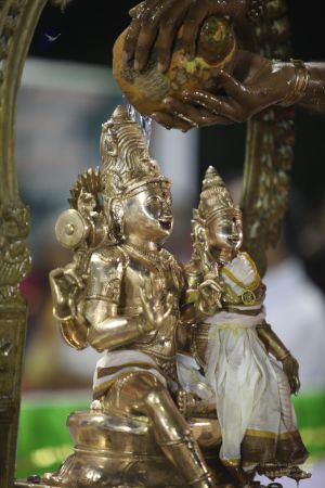 20111110 IMG 3403-213001.jpg