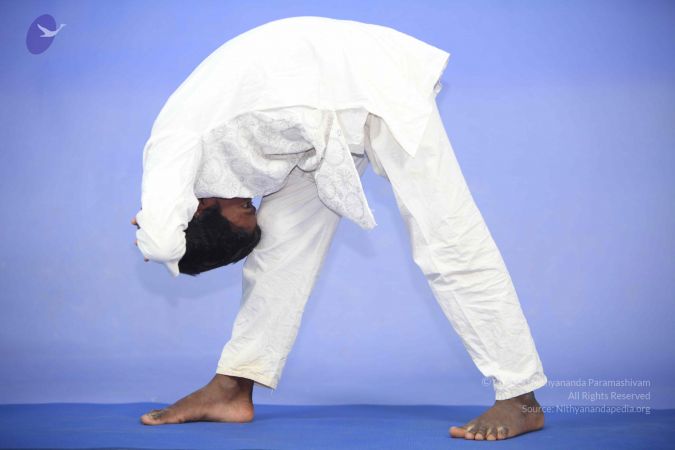 20111112 Photo 1150 1f46gG0zB4ScvFJhpN5k66Xec9ujmkPuu.JPG