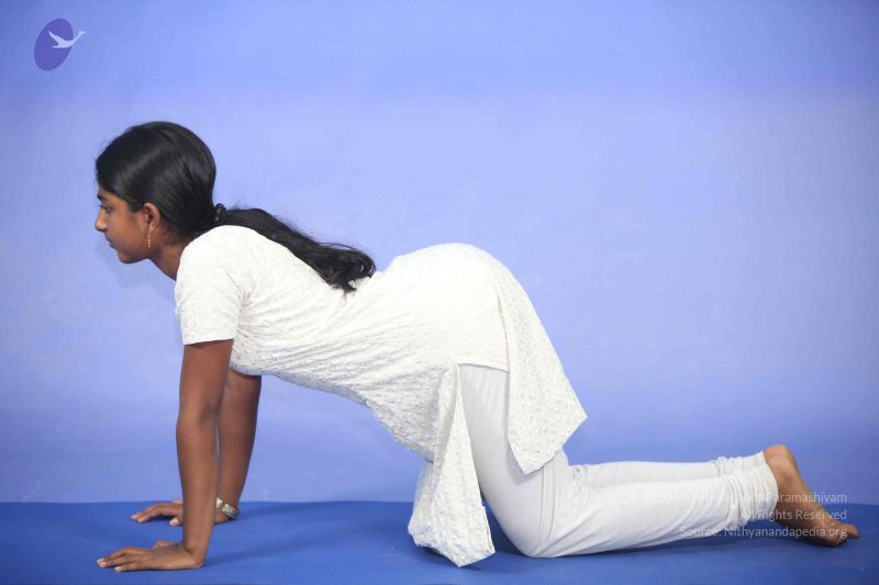 File:20111112 Photo 1164 14v5jNb-HYEL8ck1Fq0 8pR peqVjHiOC.JPG