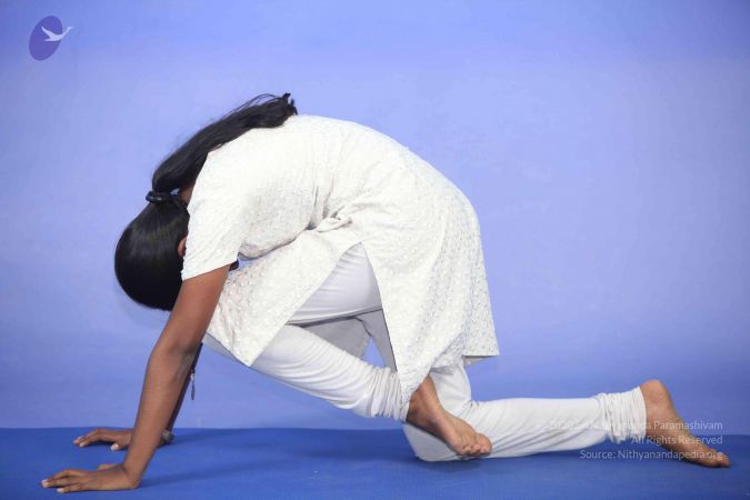 20111112 Photo 1166 1EgRAvrFf9tw1HGhREV1aFf0zkezbqIeC.JPG