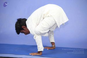 20111112 Photo 1193 1fHePwNHQ4yotDic6ysNzr5yp6McObHal.JPG