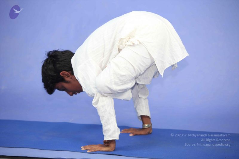 File:20111112 Photo 1193 1fHePwNHQ4yotDic6ysNzr5yp6McObHal.JPG