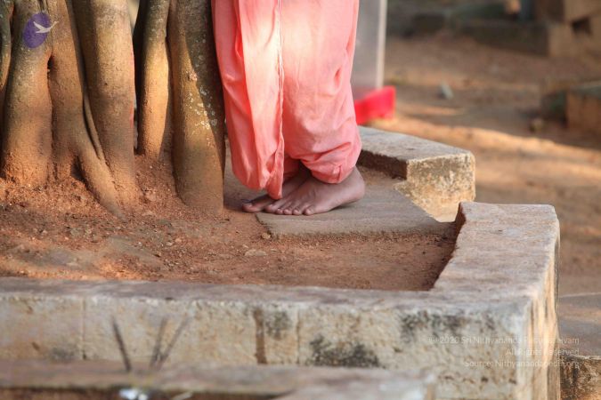 20111113 Photo 1012 12GwvJwPkAnEESJK4r9g8J 0IQTOJBADK.JPG