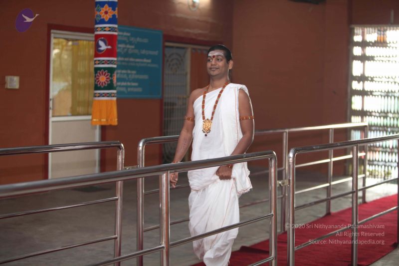 File:20111114 Photo 1004 1Dl7mZi0BAyUwVZT6NNVi2Z9k18aLIy31.JPG