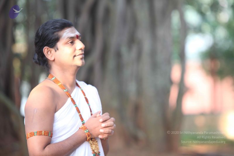 File:20111114 Photo 1009 1aHu5A1bGHSHUnJsTDm9fzsuc2qidrAcI.JPG