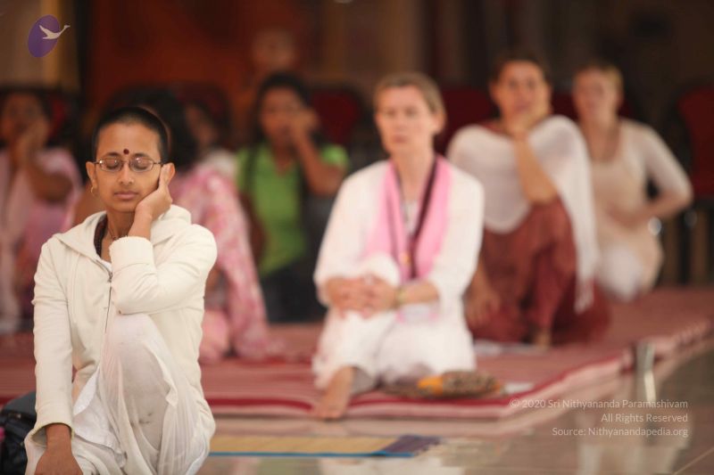 File:20111114 Photo 1100 1QJBxEBdTYP29yJPlyuRrlb18CuRKxi5b.JPG