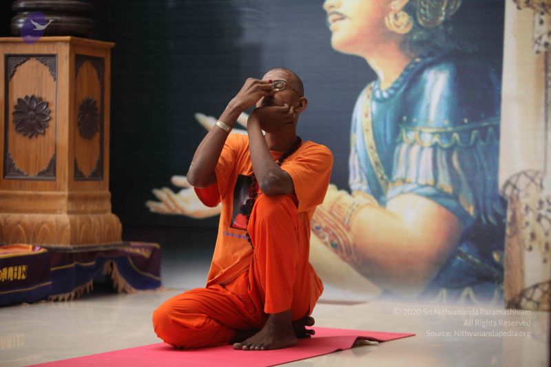 File:20111114 Photo 1130 1y0afR8lCSSGcW2uYq9WqIHgTyRqf6pdM.JPG