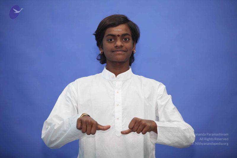 File:20111114 Photo 1152 11pvOpXywOdkiMUv9-W557kxAReln87U6.JPG