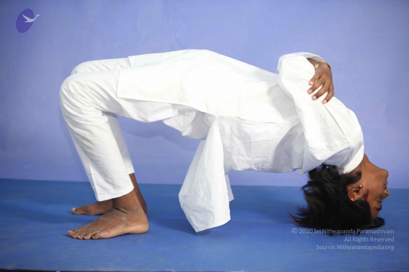 File:20111114 Photo 1167 1V4d4BAa9IpbbwCpzkn 10Q00W6jTqMUe.JPG