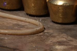 20111114 Photo 1213 1bh3JcrLWUBtbPddOeO5LDoUePJM JvYu.JPG