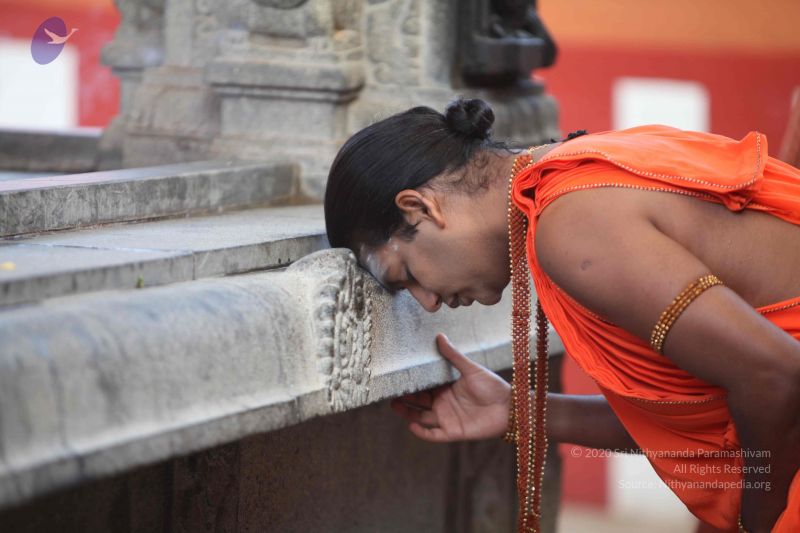 File:20111116 Photo 1013 1AJICEnV47GFC4JfHSy6Z eDdNvopHRlR.JPG