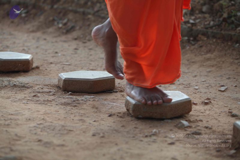 File:20111116 Photo 1020 1IQpgXIe0Ti0xPpS2Q1CpBZLOG1RQbSix.JPG