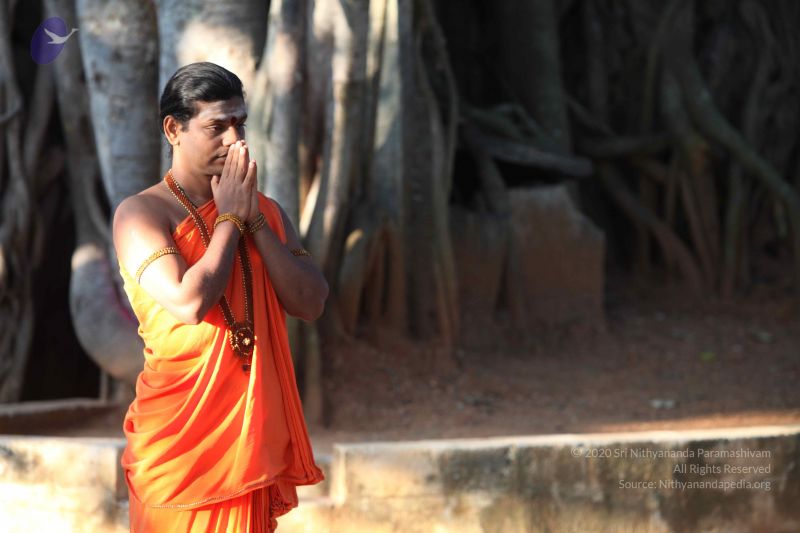 File:20111116 Photo 1022 1fkqeETISP5atztnyjVaiupG1zzv0L Pi.JPG