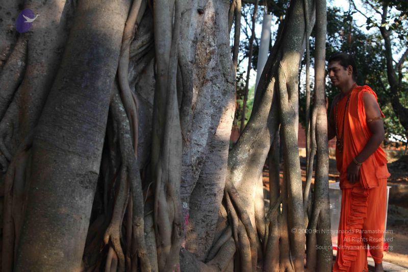 File:20111116 Photo 1025 1ETI5Z5p6RV4Pycl1cVu2pYloo6magfDC.JPG