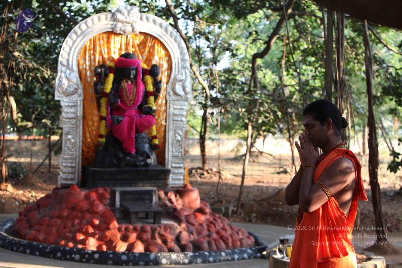 File:20111116 Photo 1026 1Xd5YaNVEBlbczvmUZwa04IXmLTpzFEB1.JPG