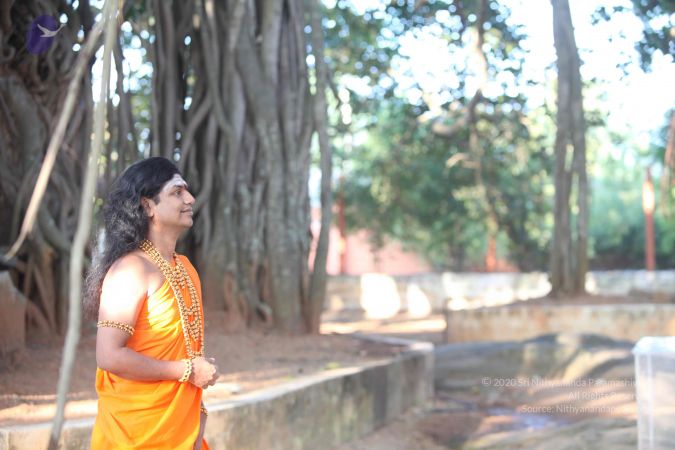 20111117 Photo 1052 1rE65-bfLdP0GUaJYFLh4V-2bxotrH2gL.JPG