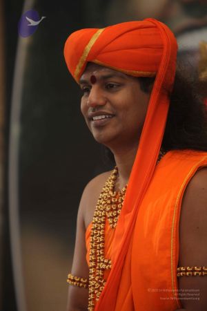 20111117 Photo 1125 1SNMlhkh43g3ViZmPsQhUWFcmYSYt90lk.JPG