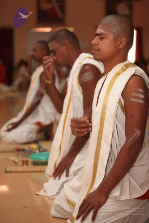 20111117 Photo 1196 1thaszPQTzAUDx2ow u5UK3w oYIVjCSZ.JPG