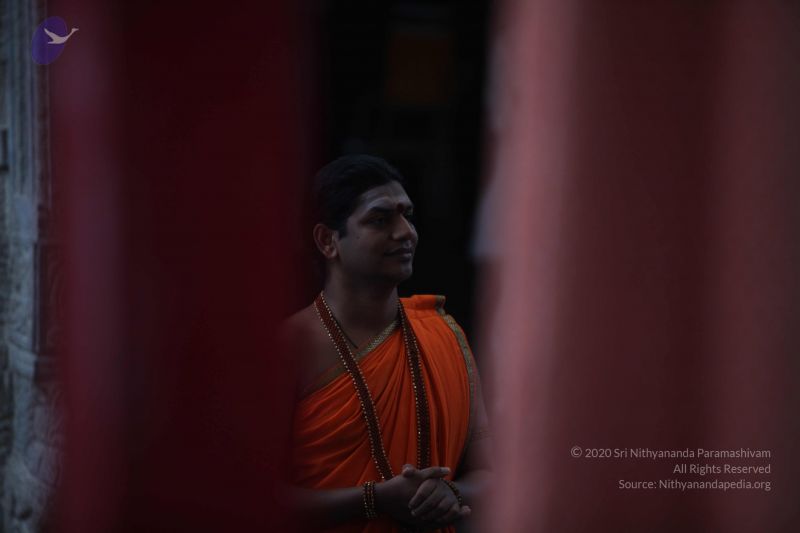 File:20111126 Photo 1006 1WRP73Fa6CUV5EtT8epEnlmEyMuENGKba.JPG