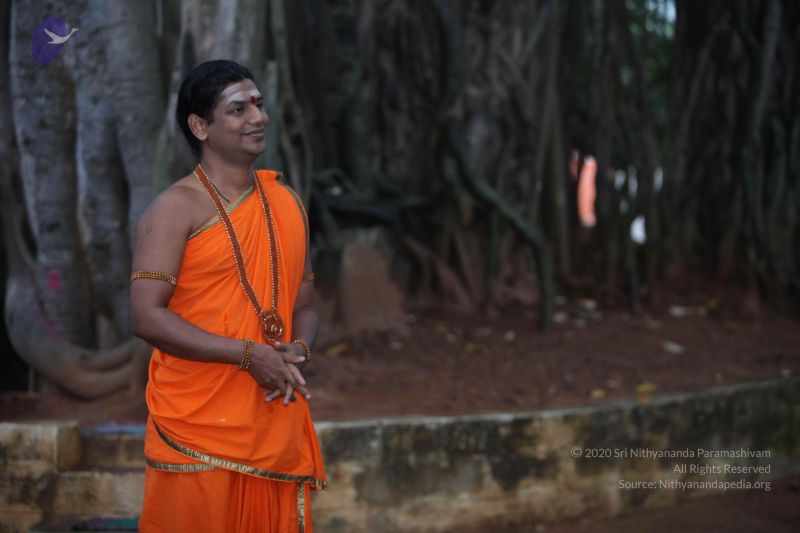 File:20111126 Photo 1009 1Aw rnKkMPsjKXiqaReK5lApx23sGplrQ.JPG