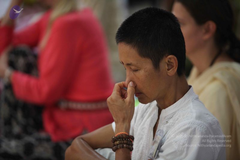 File:20111126 Photo 1234 1JAzLOiy2BCE z54kKXjzR CYW6ccdtVC.JPG