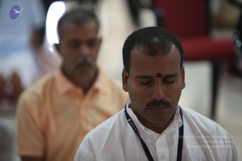 File:20111126 Photo 1240 1CATCsi mR8ZG6i2XArbpLekWI0ajaeWw.JPG