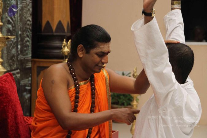 20111126 Photo 1297 1o51xU7pCEJuofmlM-LwE5Mo-UQInkXRL.JPG