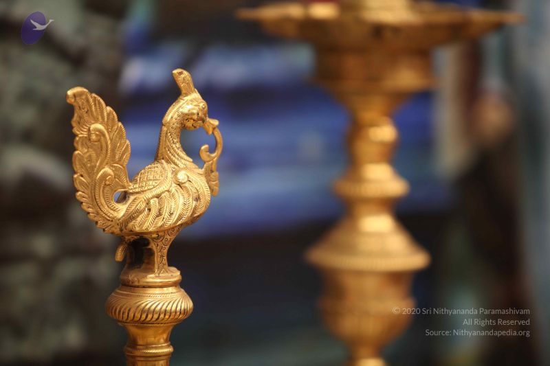 File:20111126 Photo 1378 1JK 5F7PdBxhjlYIbeDyvHGLMdNqhMUNM.JPG