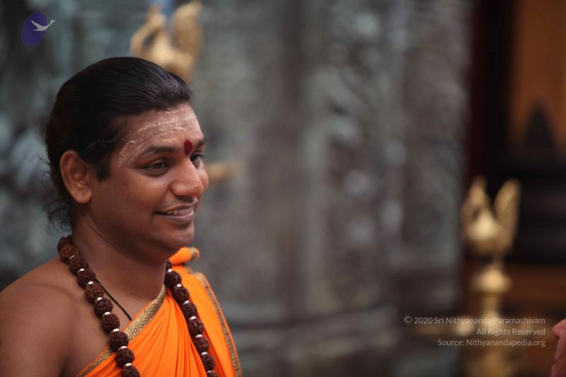 File:20111126 Photo 1387 1t3VU0W7QE3FOlW NxZi4xcInF9JISmYK.JPG