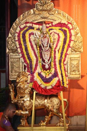 20111126 Photo 1443 1bAE2Hu5vfML8qq-vTiEv0lXJZVn9Cy4O.JPG