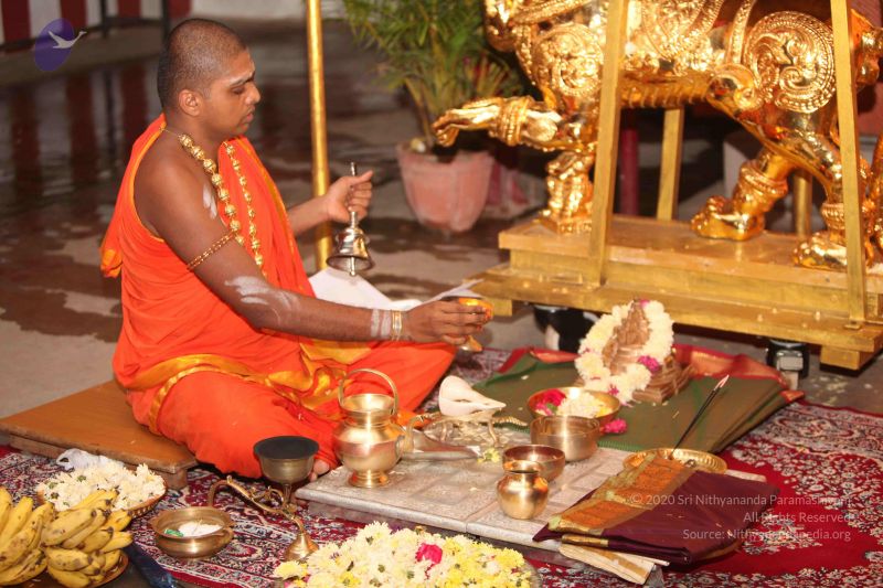 File:20111126 Photo 1448 1AM1hC YduShoxOzjee609x5M1 XODSkY.JPG