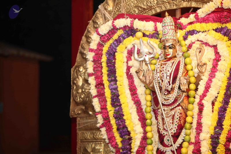 File:20111126 Photo 1449 1qkSCjNS8i3ycA8kxs0QymFxYDsnfa0ST.JPG