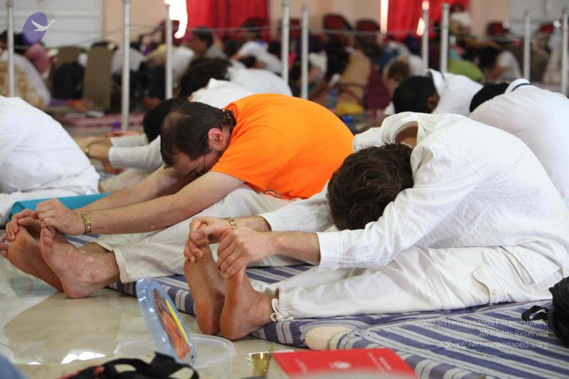 File:20111127 Photo 1309 1bsA0p1fC5KyFVFEs9gwtAj2N2DP8d9DY.JPG