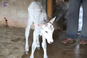 20111127 Photo 1500 19CxDTwdxtLb vFlJ1mCX9AFsoMnT8yPi.JPG