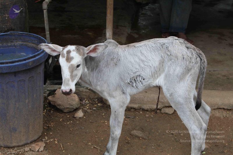 File:20111127 Photo 1504 19K-Oyr8q7n4D61jM-PjUpbmtospCx-BZ.JPG