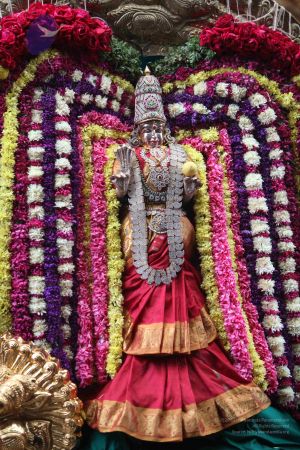 20111128 Photo 1023 1li83Bf6JkNX6 AsGxuws3FDMNPUa6j82.JPG