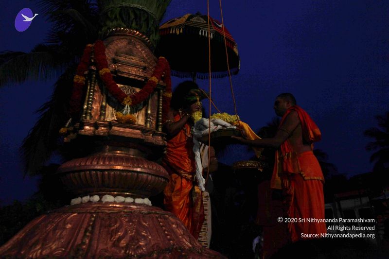 File:20111129 Photo 1003 1A6OtT1PwbBC6oDTn8eP1VxDhPrLUNCgY.JPG