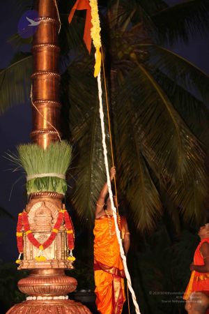 20111129 Photo 1128 1LDI 2HcCkU7SB5v2GGfakgETTyL9aDcH.JPG