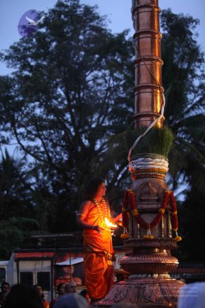 20111129 Photo 1161 196lnuCbdoYrjc7CC8egZaUkmT-LaGUko.JPG