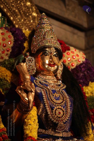 File:20111130 Photo 1000 1xWgs19TPVXfUIZ zElEyx4vBkbxn3FYM.JPG