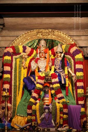 20111130 Photo 1004 1YlIVP0Jf2AxKj85np8Xyj2pkJxRkwD2L.JPG