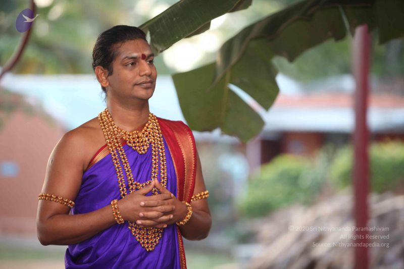 File:20111130 Photo 1018 1a1MHtw7C8urQcjEn3oEB u0OcFnAbRF5.JPG