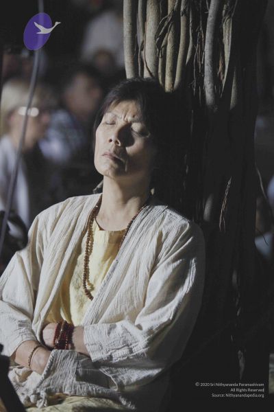 File:20111130 Photo 1032 1v7pmDOVeIA7SaXcjLqL1x3eBwMdqrJvR.JPG